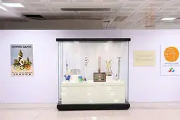 اهدای ۳۰۰ یادبود به موزه ملی ورزش/روایتی ازالمپیک باستان تا نوین