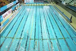 محسنی: استخر آزادی مربوط به خانواده شنا است و تاکیدی روی آنجا نداشتیم!