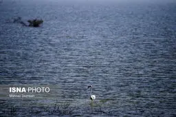 سیل، هورالعظیم را سیراب کرد