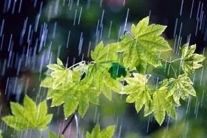 کاهش ۴ تا ۸ درجه‌ای دما در شمال شرق کشور