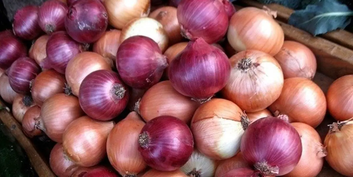 قیمت پیاز و سیب زمینی به تعادل می‌رسد