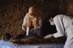 مقبره ای پر از موش، گربه و شاهین مومیایی شده در مصر کشف شد