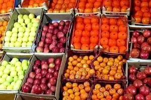 ساعت کار میادین میوه و تره بار در نیمه اول سال ۹۸ اعلام شد