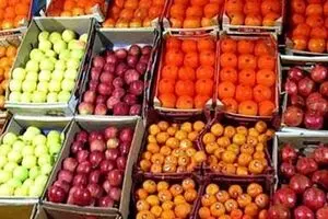 ساعت کار میادین میوه و تره بار در نیمه اول سال ۹۸ اعلام شد