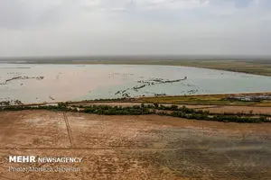 ۱۷۴ هزار هکتار از زمینهای خوزستان زیر آب است