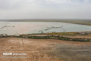 ۱۷۴ هزار هکتار از زمینهای خوزستان زیر آب است