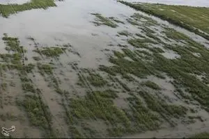 سیل ۲ میلیارد دلار به ایالت ایوای آمریکا خسارت زد