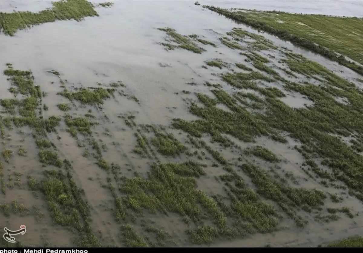 سیل ۲ میلیارد دلار به ایالت ایوای آمریکا خسارت زد