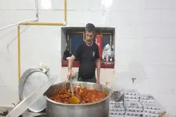 این بیست و سه نفر 