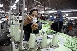 سرعت رشد اشتغال زنان فارغ‌التحصیل بیش از مردان است