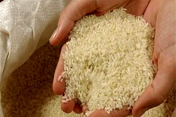 کاهش 15 درصدی قیمت برنج ایرانی در بازار