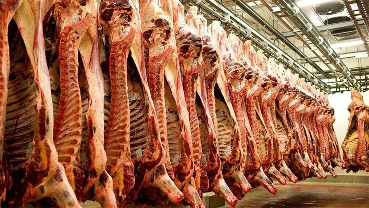 قیمت واقعی گوشت ۷۵هزارتومان است نه ۱۰۰