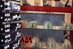 از سیاست بانک مرکزی تا نقش آفرینی امارات/ اقتصادانان درباره دلایل کاهش قیمت دلار چه می‌گویند؟