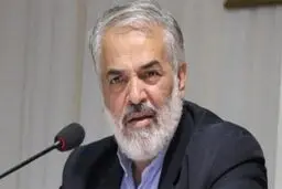 قدیری ابیانه: مسئولان اهل مقاومت نیستند