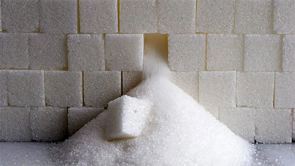 افزایش ۶۰۰ درصدی واردات شکر علی‌رغم خودکفایی