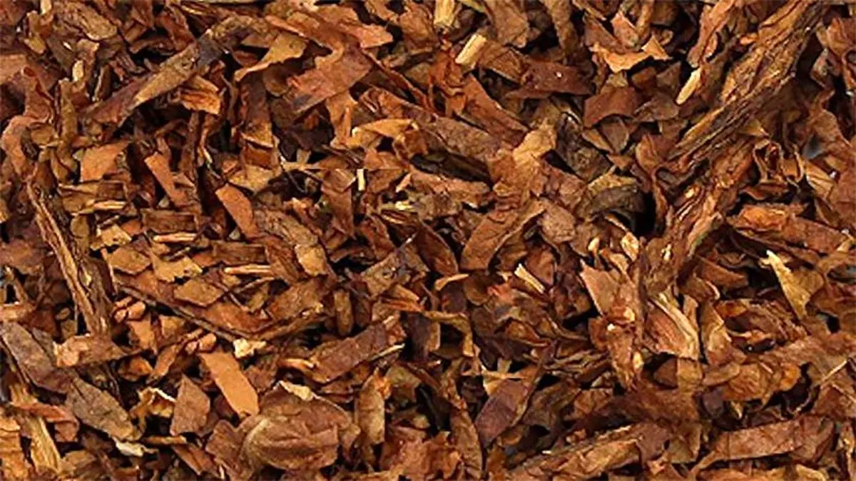 توتون و تنباکو در لیست اقلام عمده وارداتی