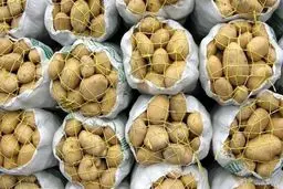 قیمت سیب زمینی در هفته های آینده پایین می‌آید