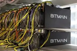 گمرک: مجوز واردات ماینر داده نشده است/ نمایشگاه الکامپ: ماینر موجود است!