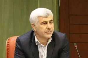 ممنوعیت کاندیداتوری افراد دو تابعیتی در انتخابات مجلس