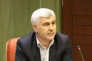ممنوعیت کاندیداتوری افراد دو تابعیتی در انتخابات مجلس