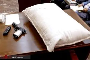 چند دلیل قاطع عیان کننده نیت «قتل عمد» توسط «نجفی»