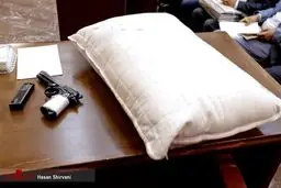 چند دلیل قاطع عیان کننده نیت «قتل عمد» توسط «نجفی»