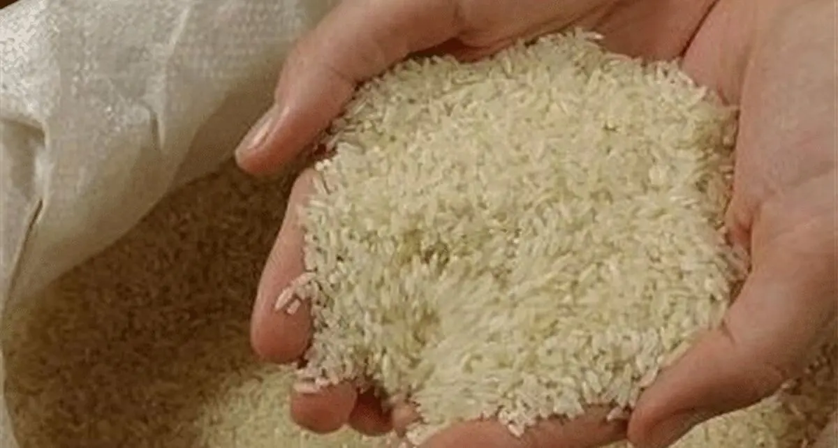 رشد۲۰ درصدی واردات برنج