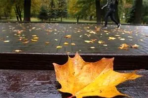 پاییز ۹۸ پر بارش می‌شود؟