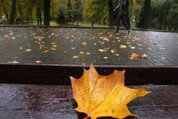 پاییز ۹۸ پر بارش می‌شود؟