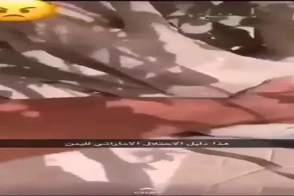 درختان «سقطری» در خیابان‌ها و منازل ابوظبی!