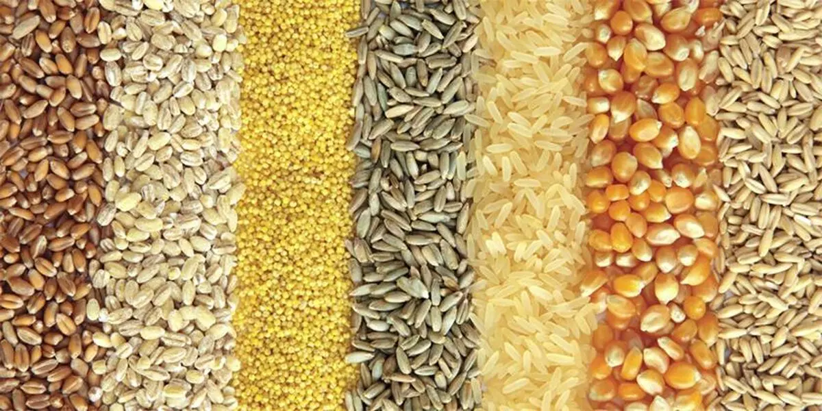 واردات مونوکلسیم فسفات با ارز دولتی؛ فروش به نرخ آزاد