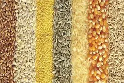 واردات مونوکلسیم فسفات با ارز دولتی؛ فروش به نرخ آزاد