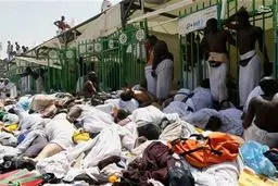 انفعال دیپلماسی در داغ بر دل نشسته منا