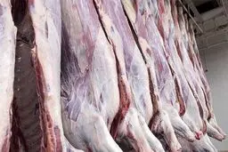 کاهش ۹ هزارتومانی قیمت دام سنگین