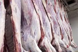 کاهش ۹ هزارتومانی قیمت دام سنگین