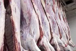 کاهش ۹ هزارتومانی قیمت دام سنگین