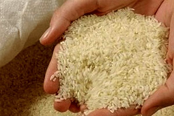 یک گرم برنج هم تا پایان سال نباید وارد کشور شود