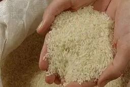 یک گرم برنج هم تا پایان سال نباید وارد کشور شود