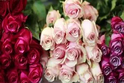 گل برای عید غدیر گران نمی‌شود