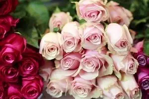 گل برای عید غدیر گران نمی‌شود