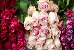 گل برای عید غدیر گران نمی‌شود