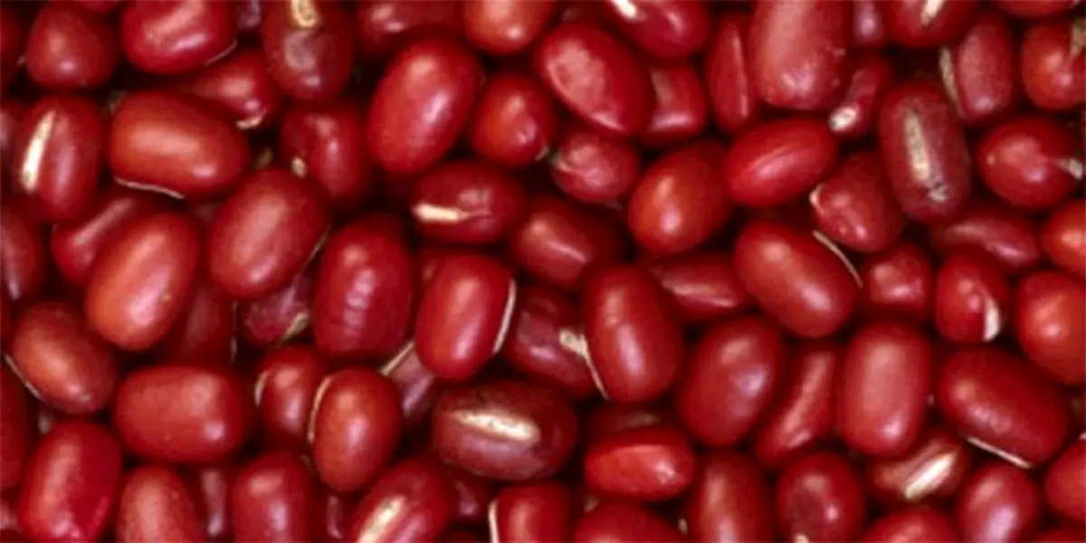 ماجرای ممنوعیت ترخیص لوبیا قرمز چه بود؟