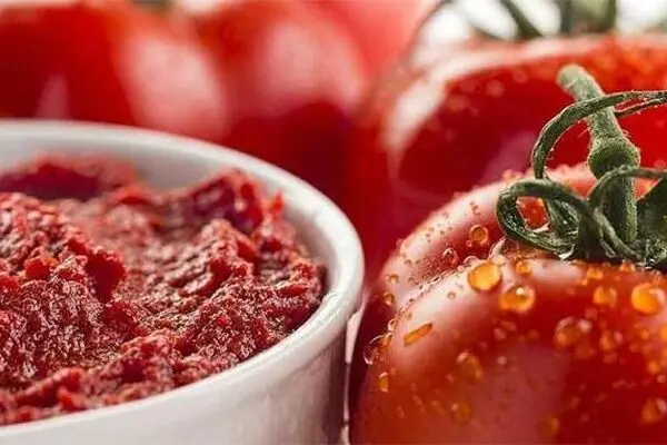 گوجه ارزان شد؛ رب همچنان می‌تازد