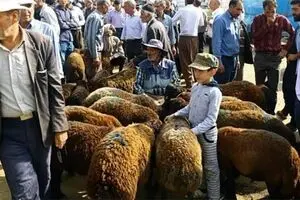 ذبح دام در معابر عمومی تخلف محسوب می‌شود
