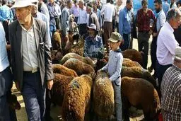 ذبح دام در معابر عمومی تخلف محسوب می‌شود