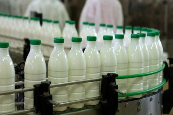 گران‌فروشی ششصد تومانی یک شرکت لبنی در هر بطری شیر
