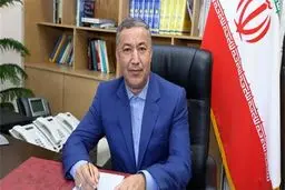 توزیع برنج وارداتی تا پایان فصل برداشت ممنوع شد