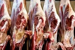 نوسان قیمت گوشت قرمز و سفید در یک سال و نیم اخیر