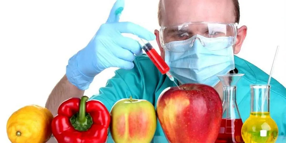 آیا رشد سرطان و نازایی حاصل مصرف محصولات «تراریخته» است؟