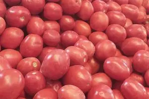 طرح خرید حمایتی گوجه فرنگی ادامه دارد